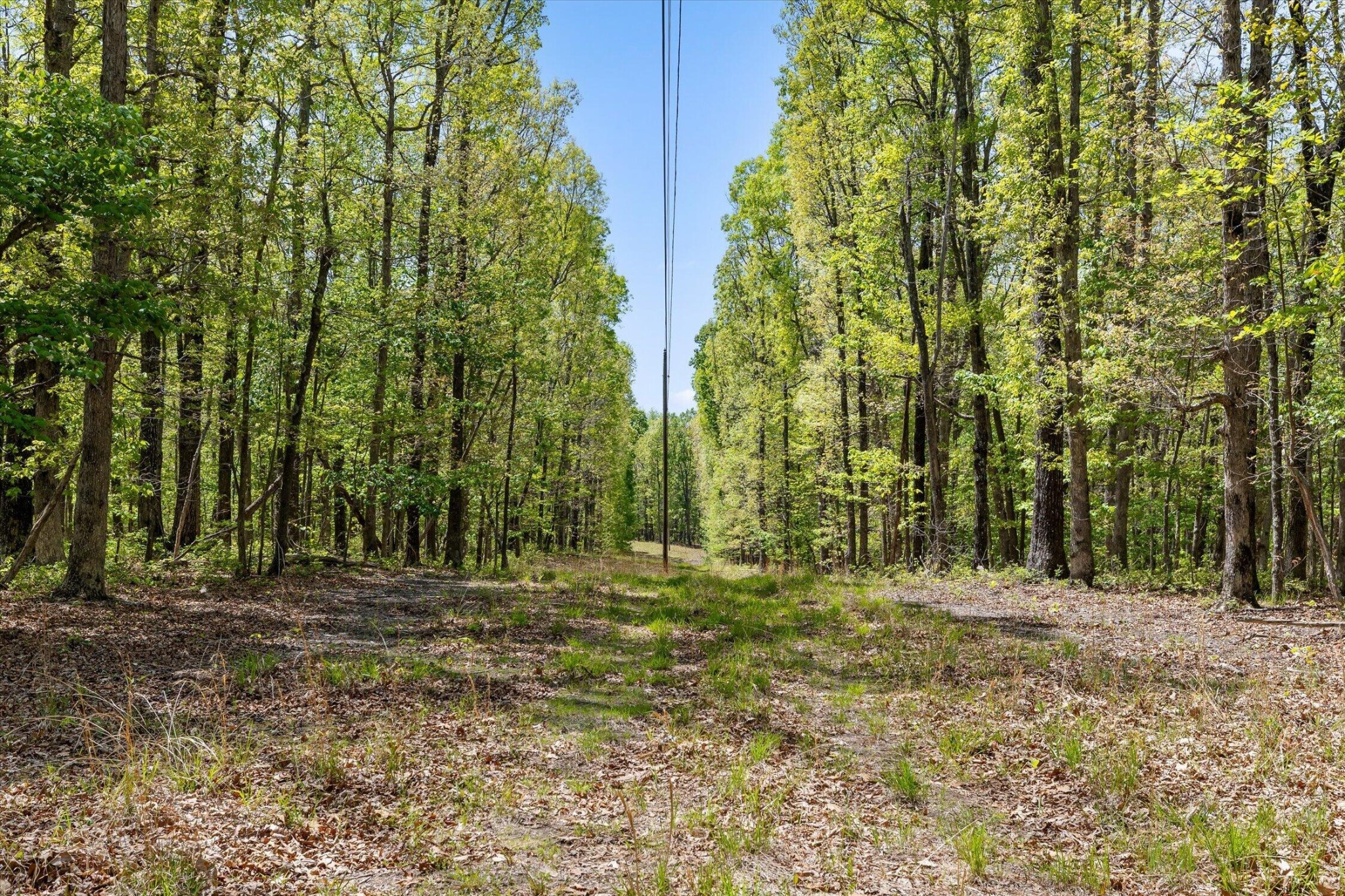 0 Deepwoods Road Property Photo 15