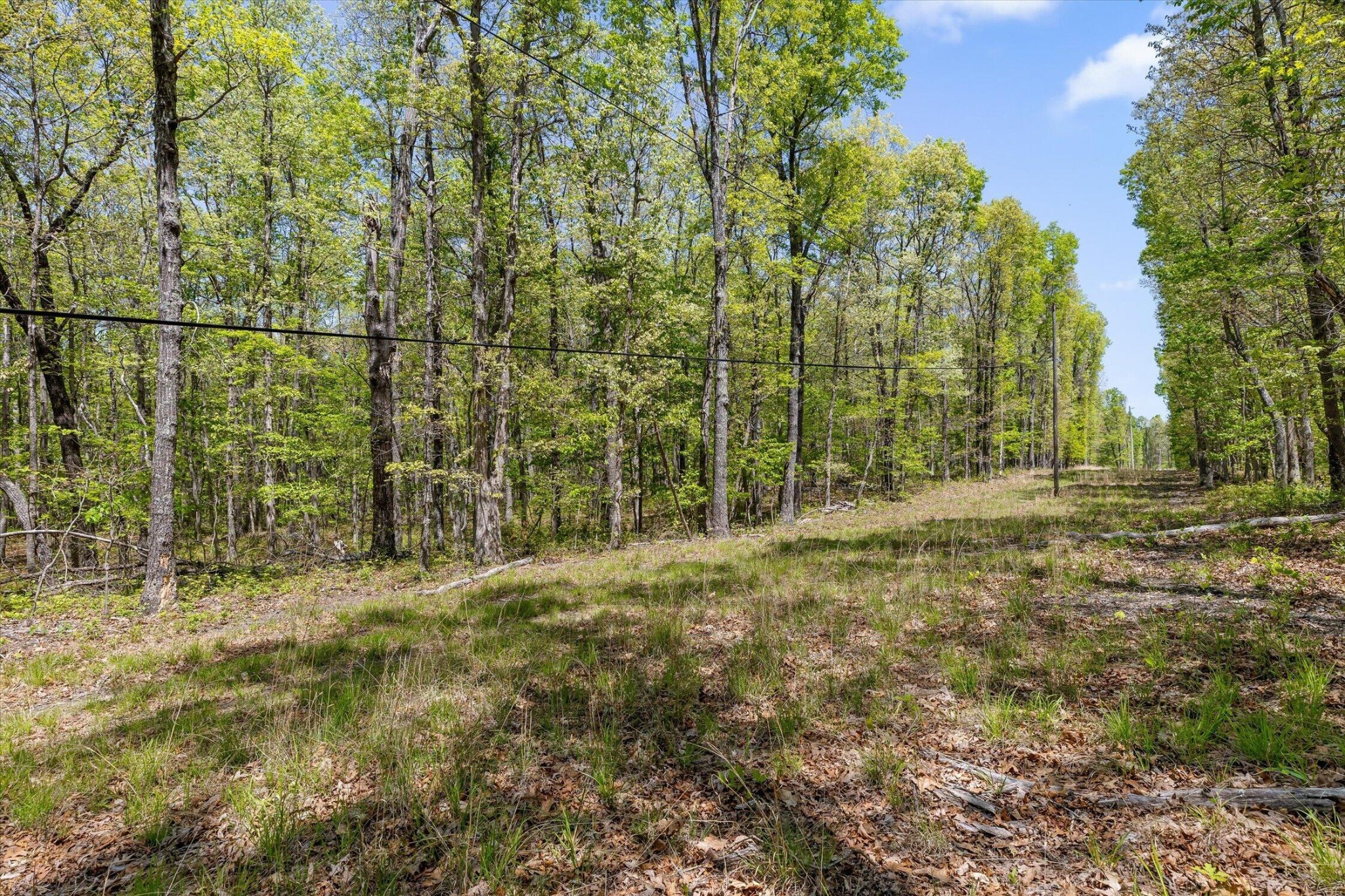 0 Deepwoods Road Property Photo 18