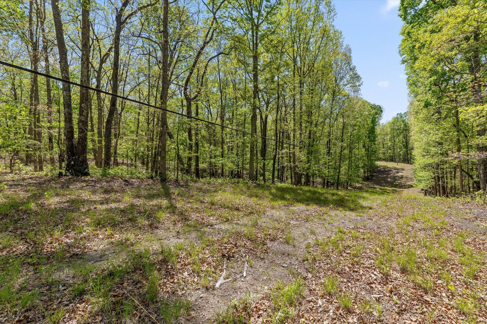 0 Deepwoods Road Property Photo 19