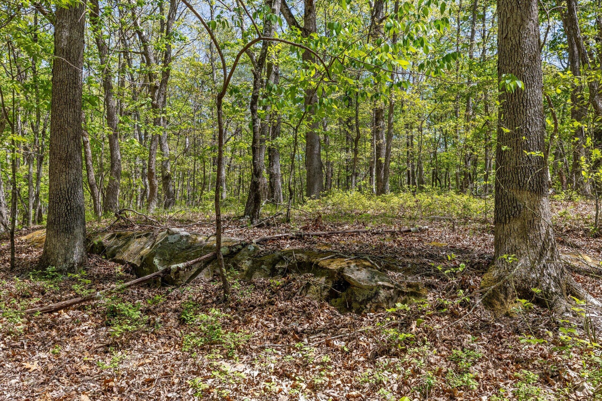 0 Deepwoods Road Property Photo 24