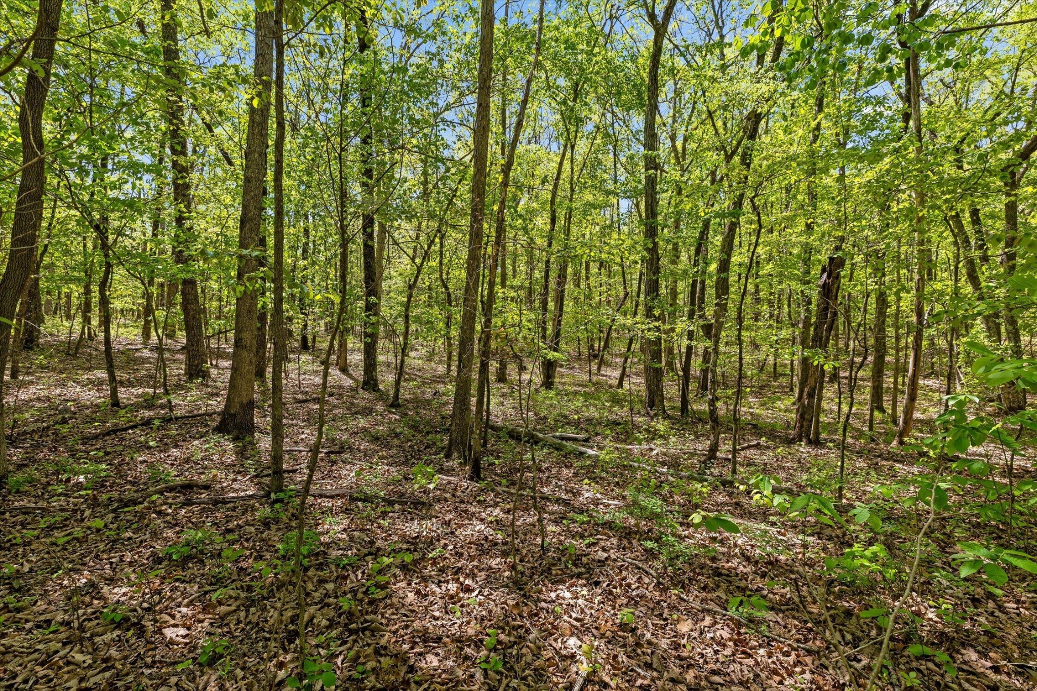 0 Deepwoods Road Property Photo 26