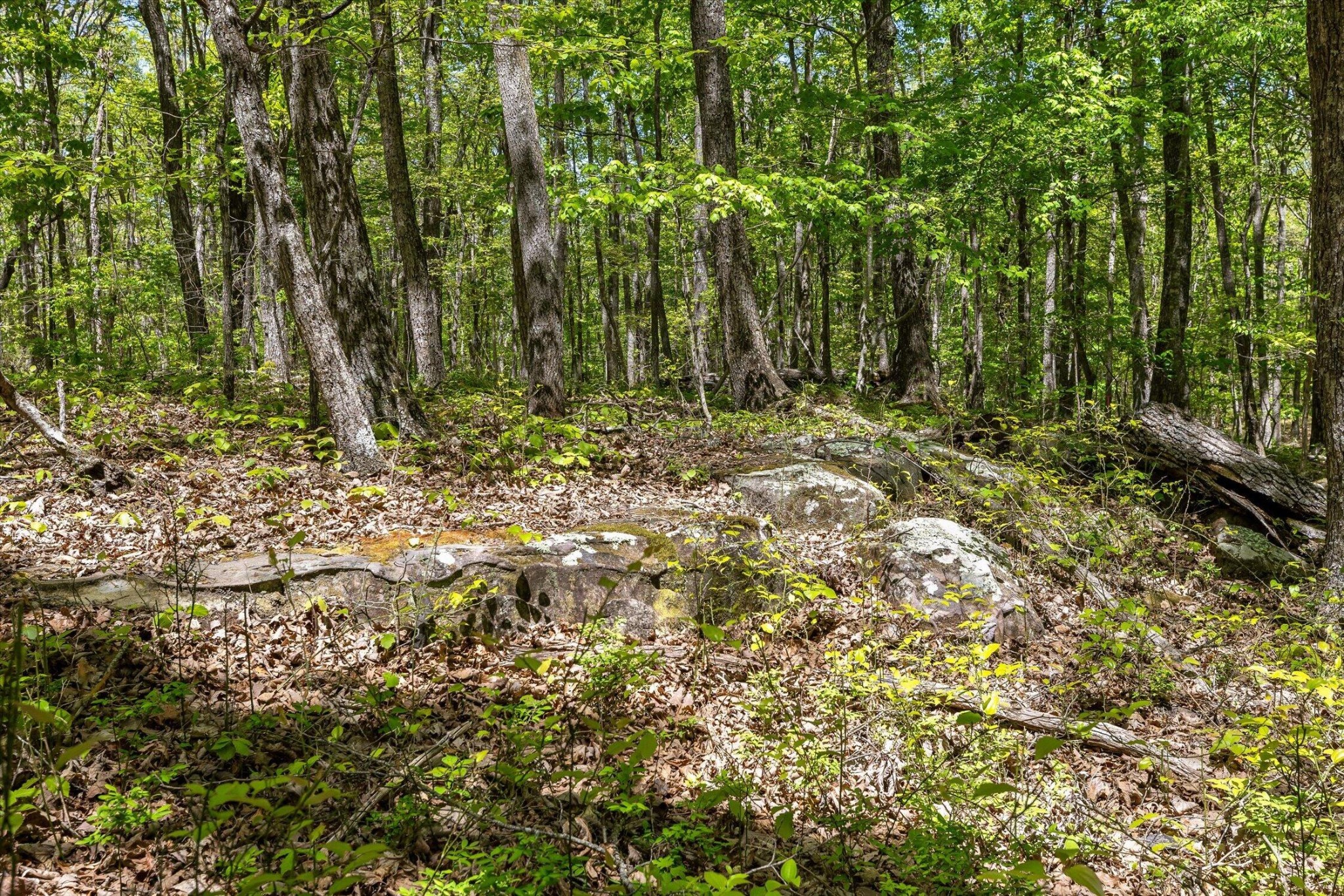 0 Deepwoods Road Property Photo 27
