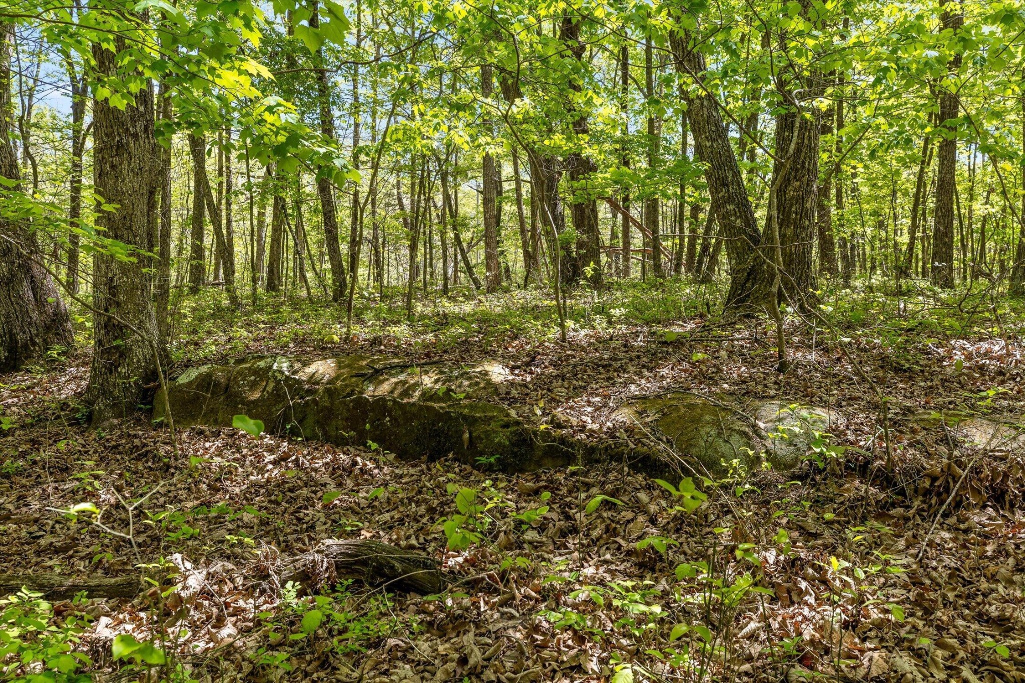 0 Deepwoods Road Property Photo 30