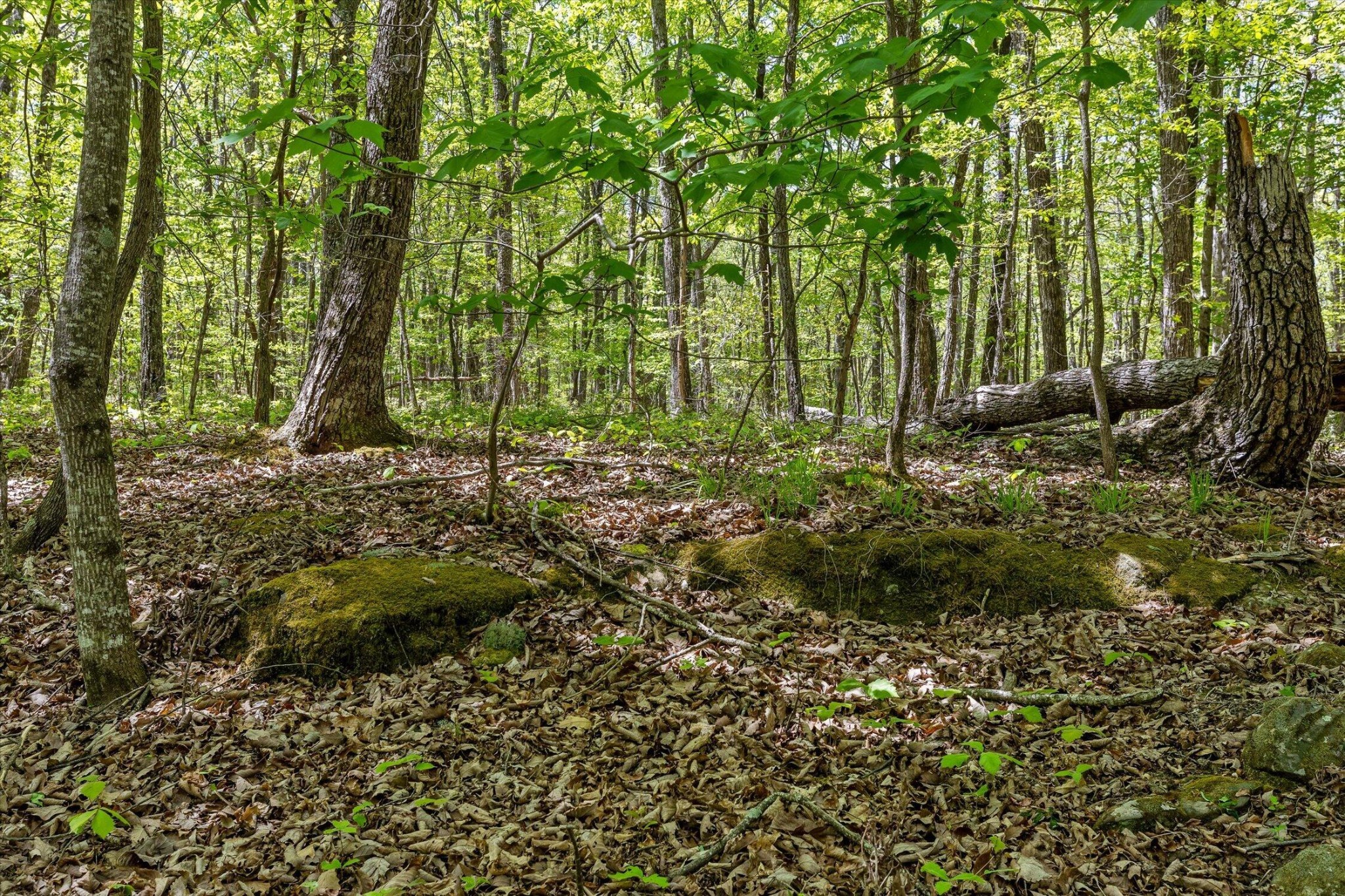 0 Deepwoods Road Property Photo 33