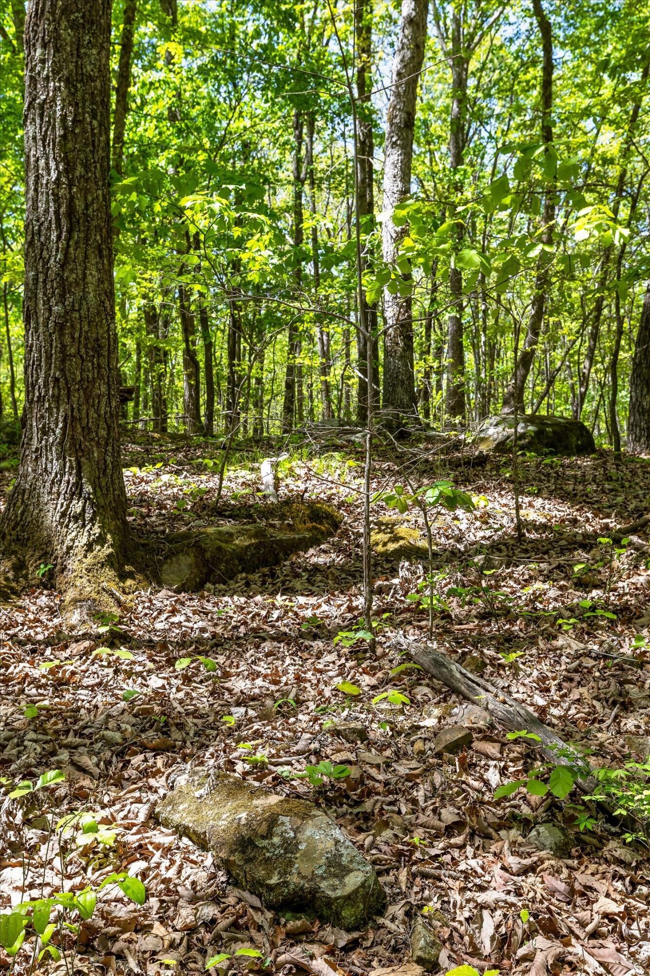 0 Deepwoods Road Property Photo 35
