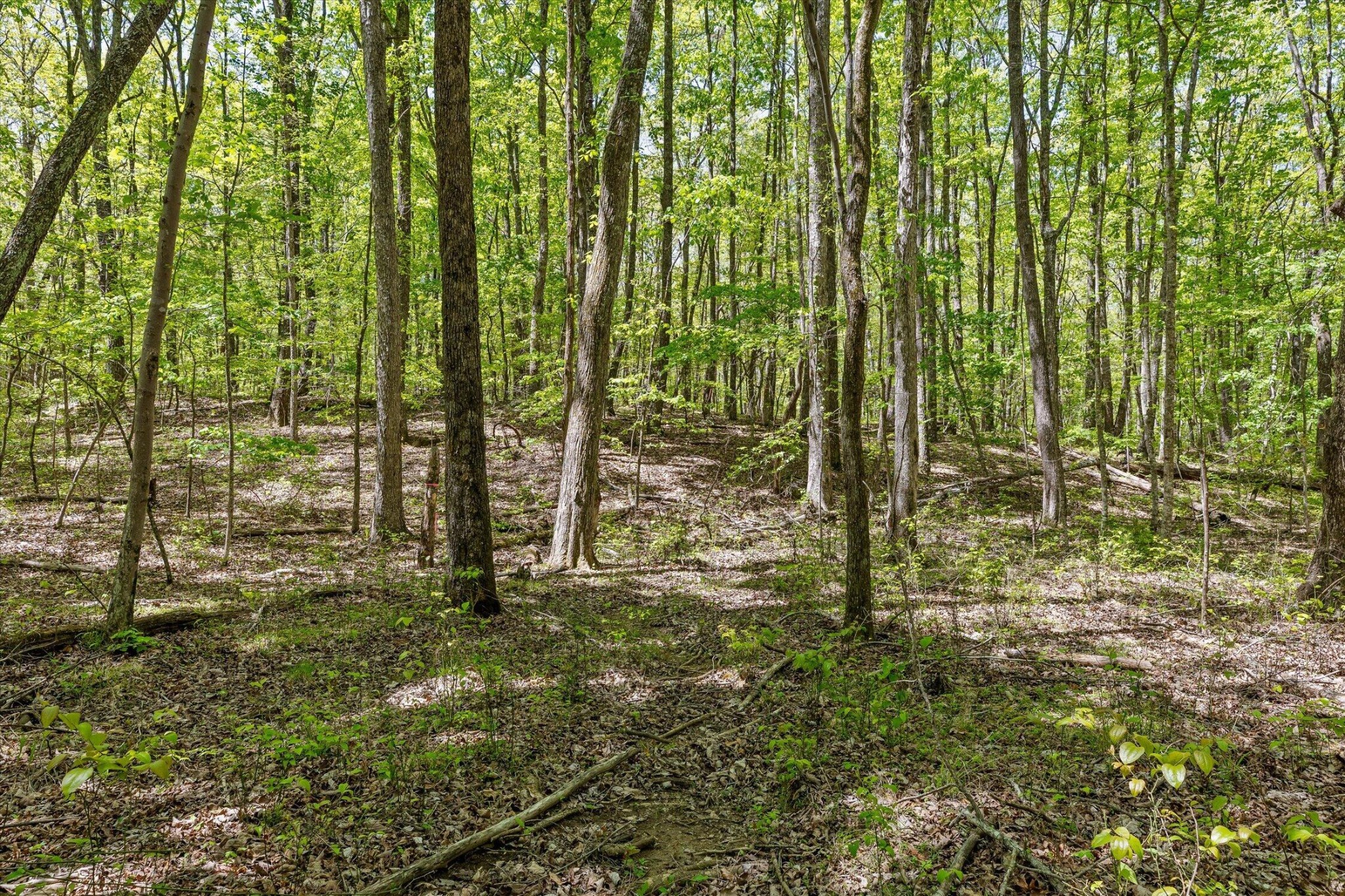 0 Deepwoods Road Property Photo 36