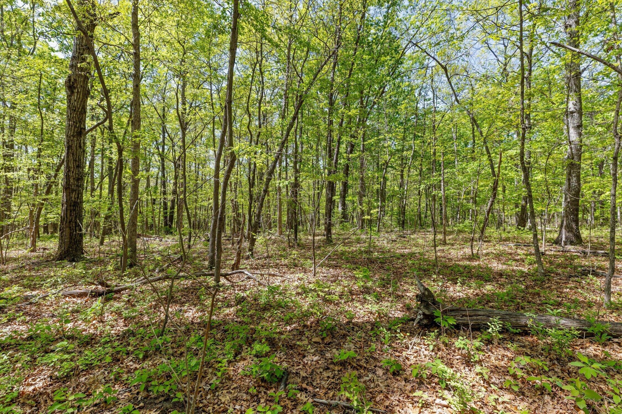 0 Deepwoods Road Property Photo 42