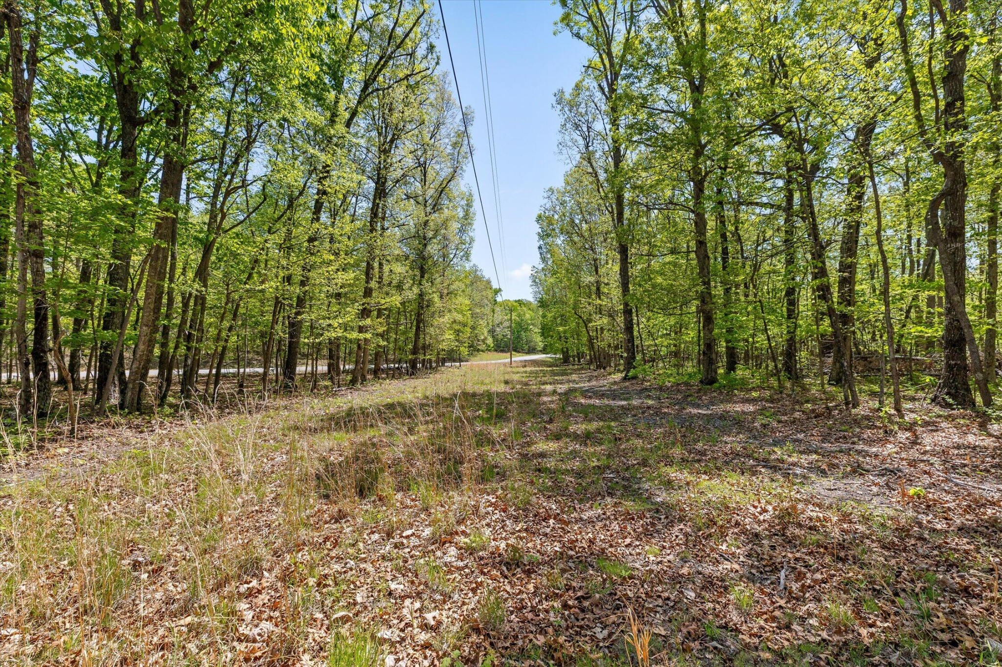 0 Deepwoods Road Property Photo 43
