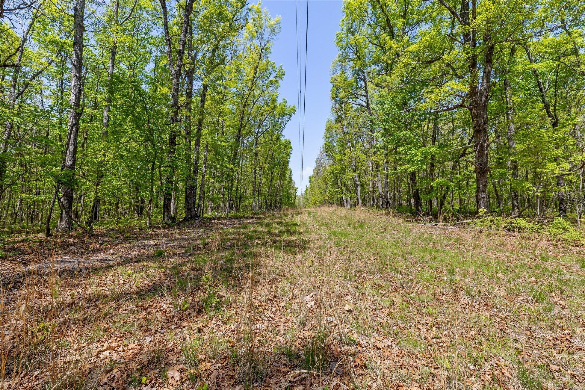 0 Deepwoods Road Property Photo 44