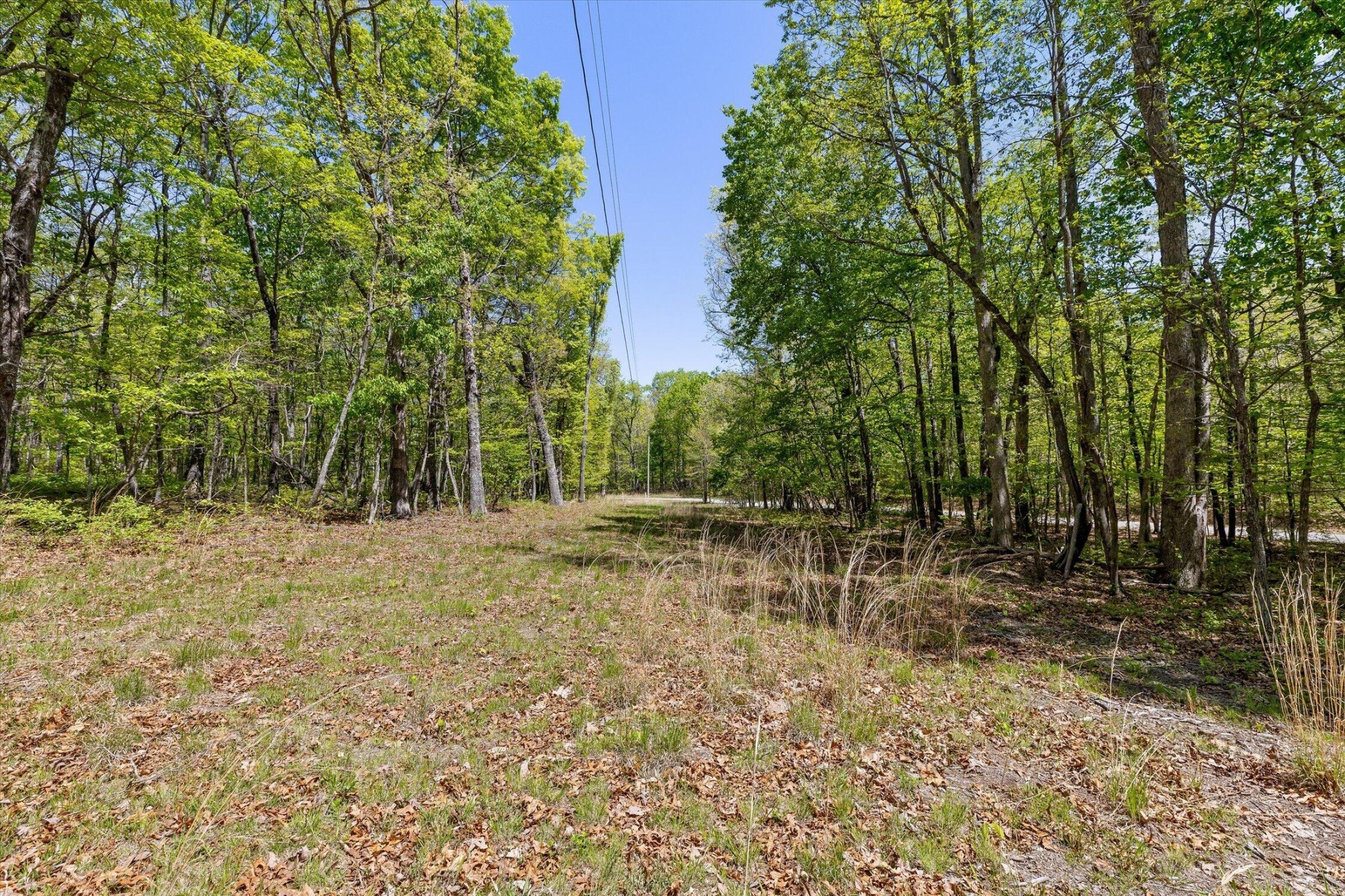 0 Deepwoods Road Property Photo 45
