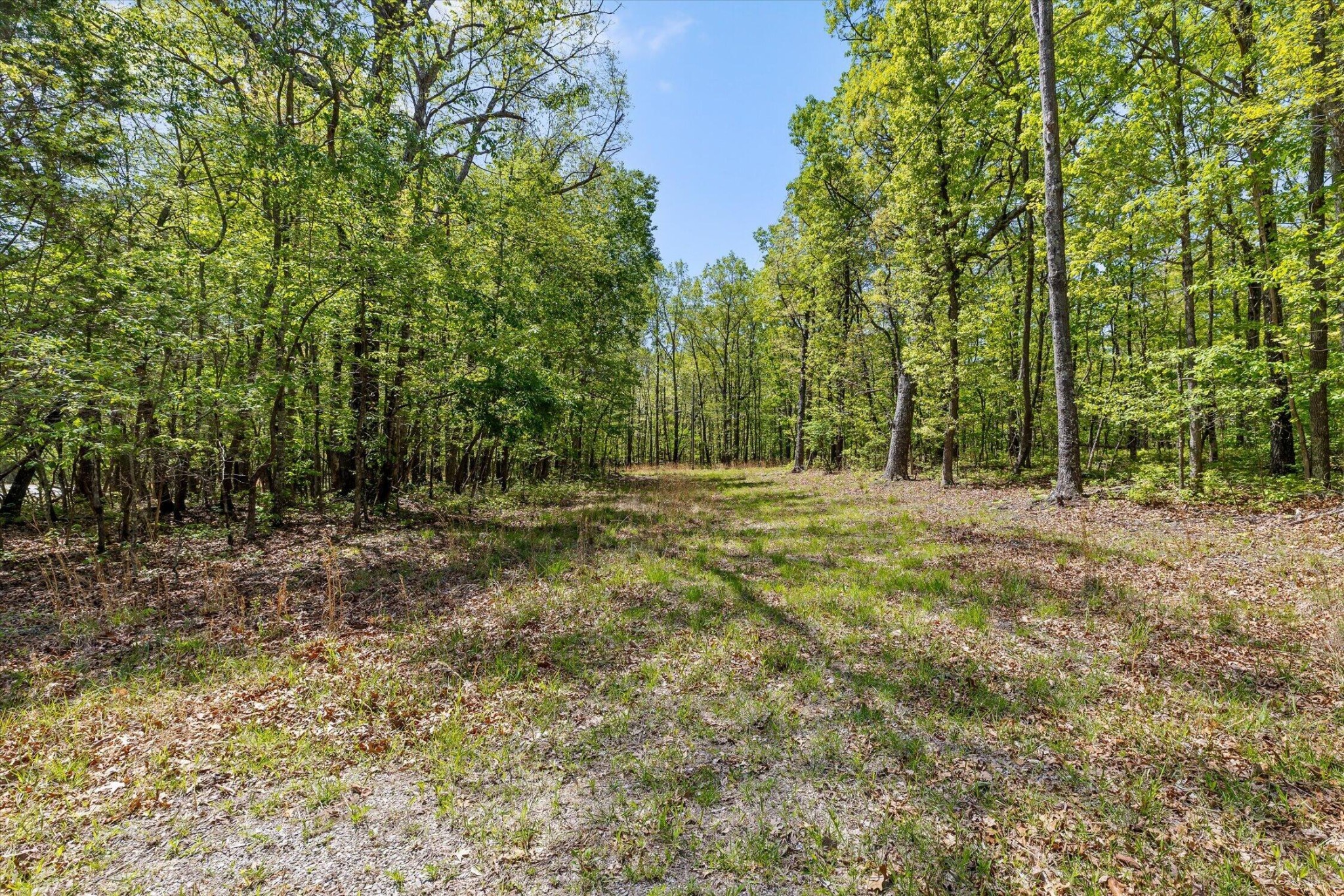 0 Deepwoods Road Property Photo 46