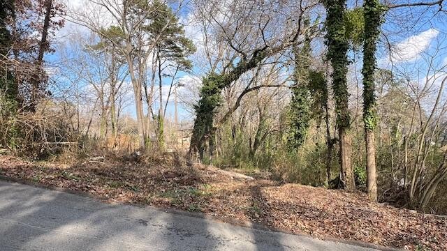 3977 Blanchard Street Property Photo 2