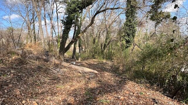 3977 Blanchard Street Property Photo 3