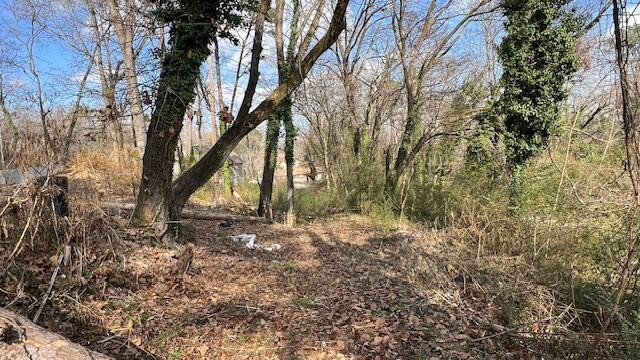 3977 Blanchard Street Property Photo 4