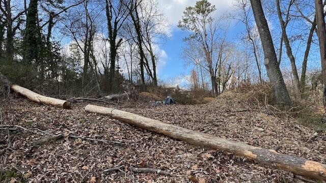 3977 Blanchard Street Property Photo 5