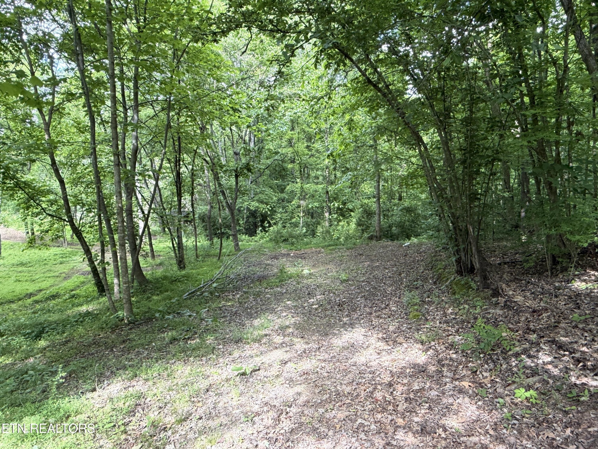 316 Wiley Town Rd Property Photo 1