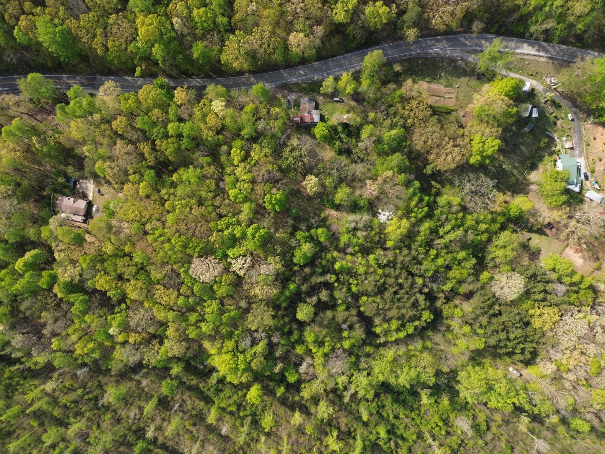 2990 Wassom Memorial Highway Property Photo 6