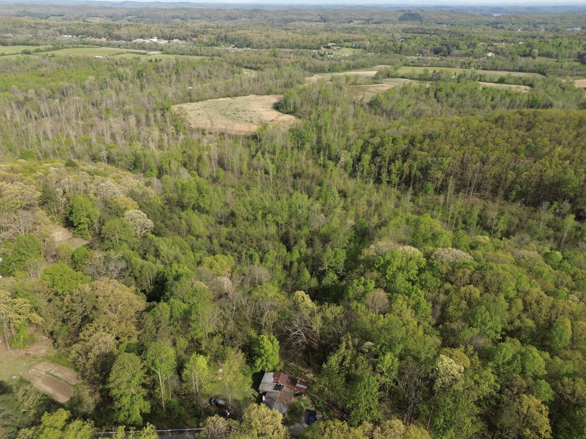 2990 Wassom Memorial Highway Property Photo 10