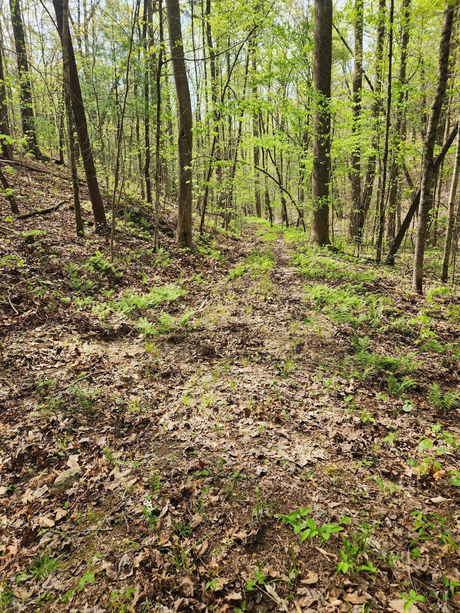 0 Chestnut Mountain Road Property Photo 1