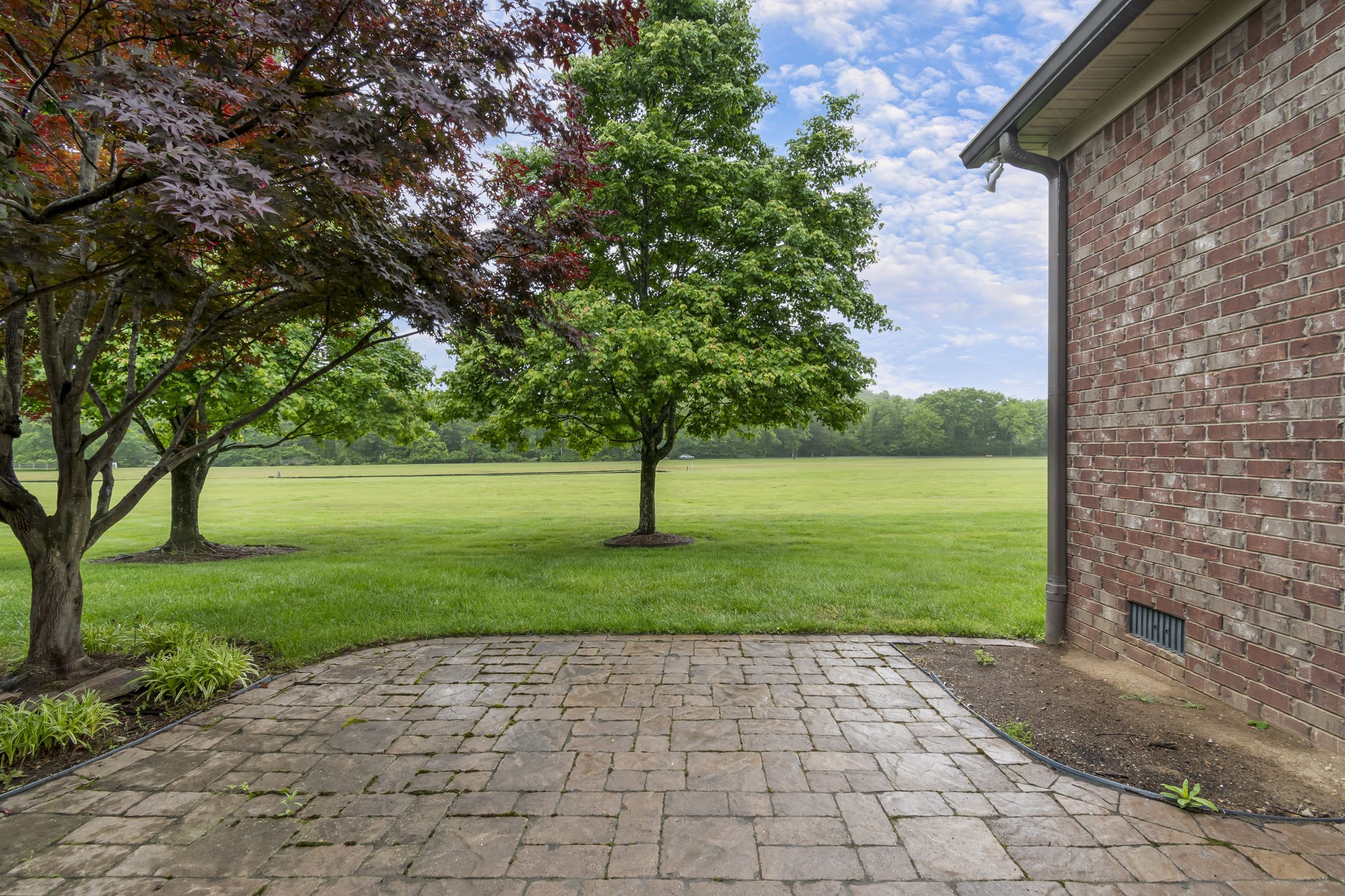 158 Tara Ln Property Photo 54