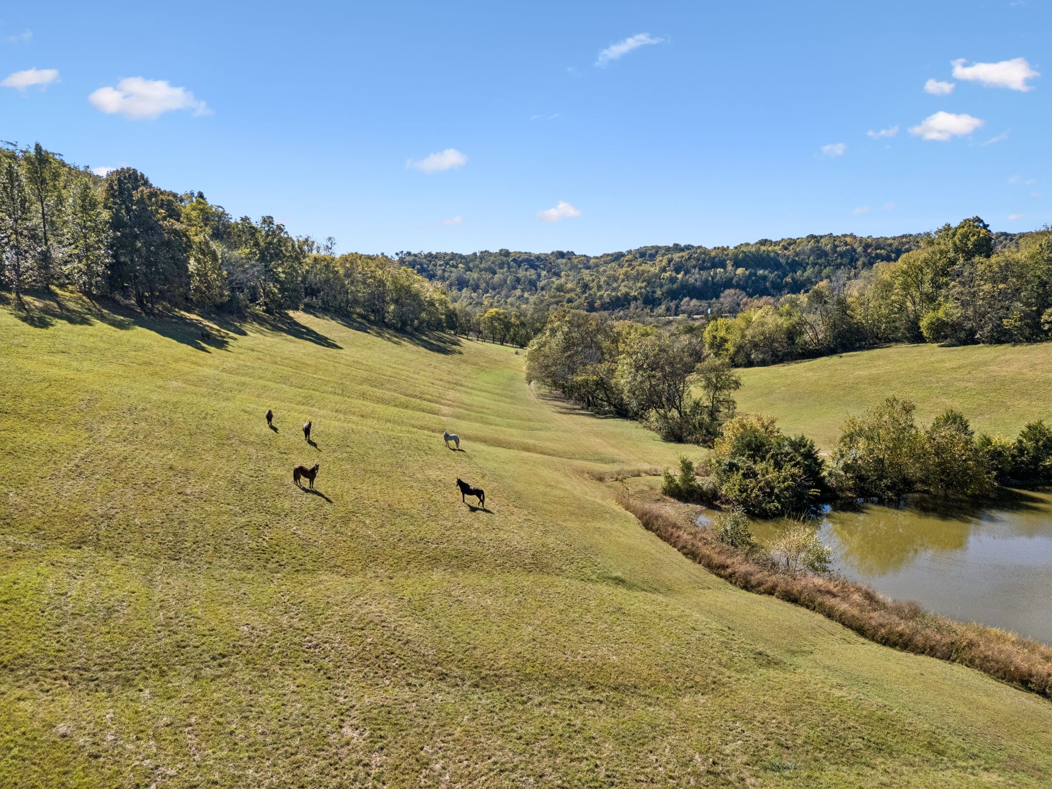 2846 Fuller Hollow Rd