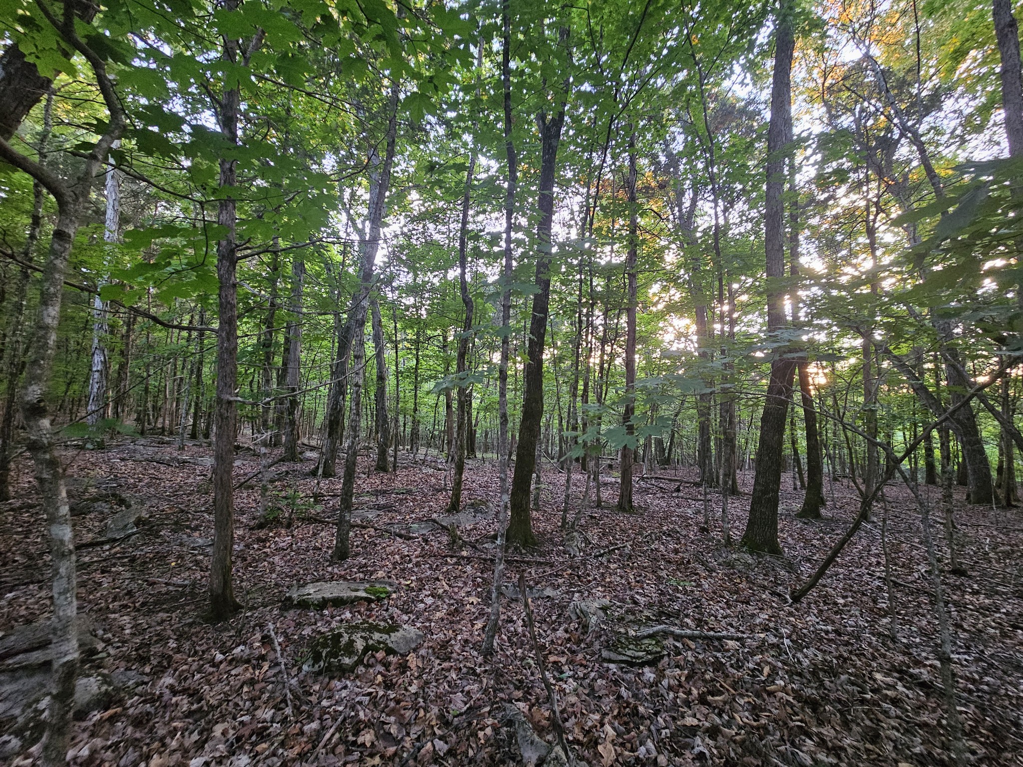 3 Sewanee Summit Road