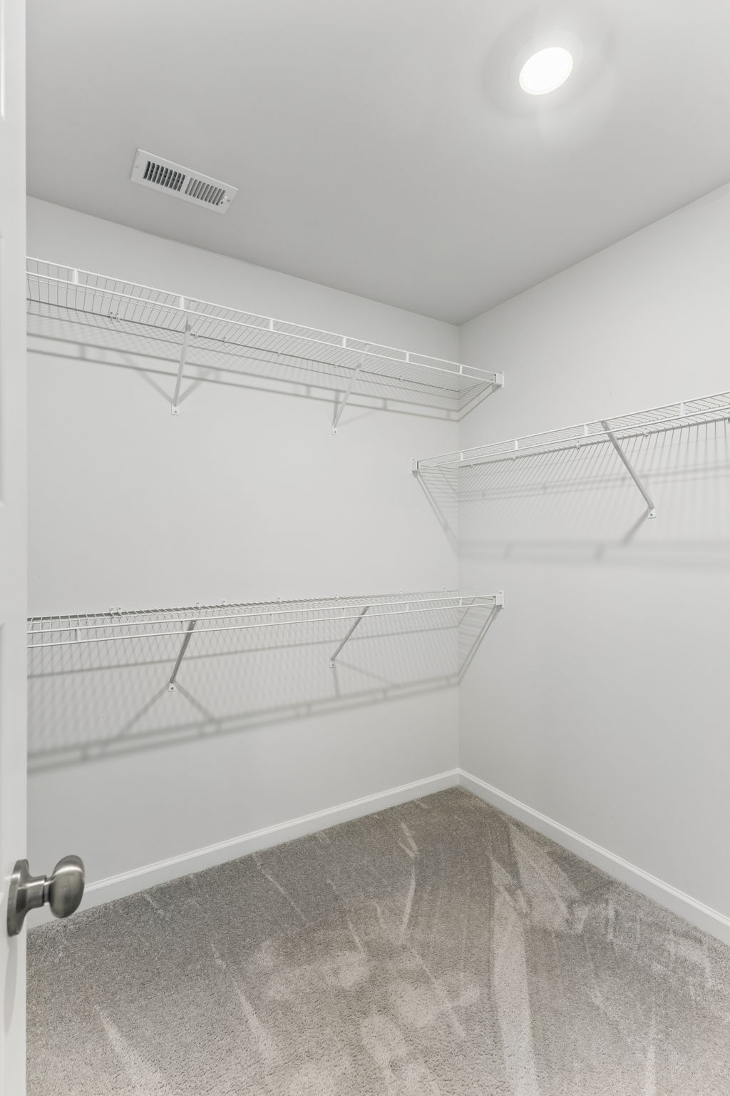 3341 Steadman St Property Photo 25