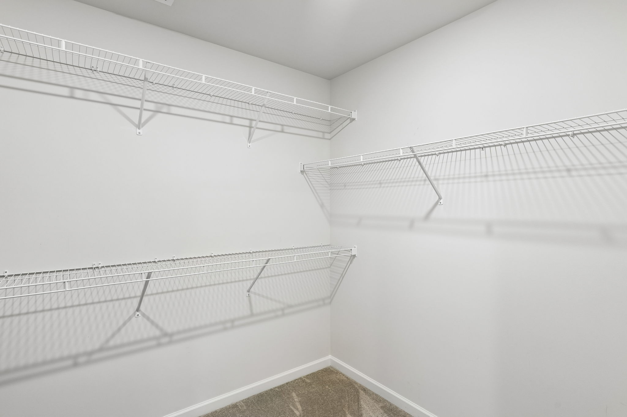 3341 Steadman St Property Photo 26