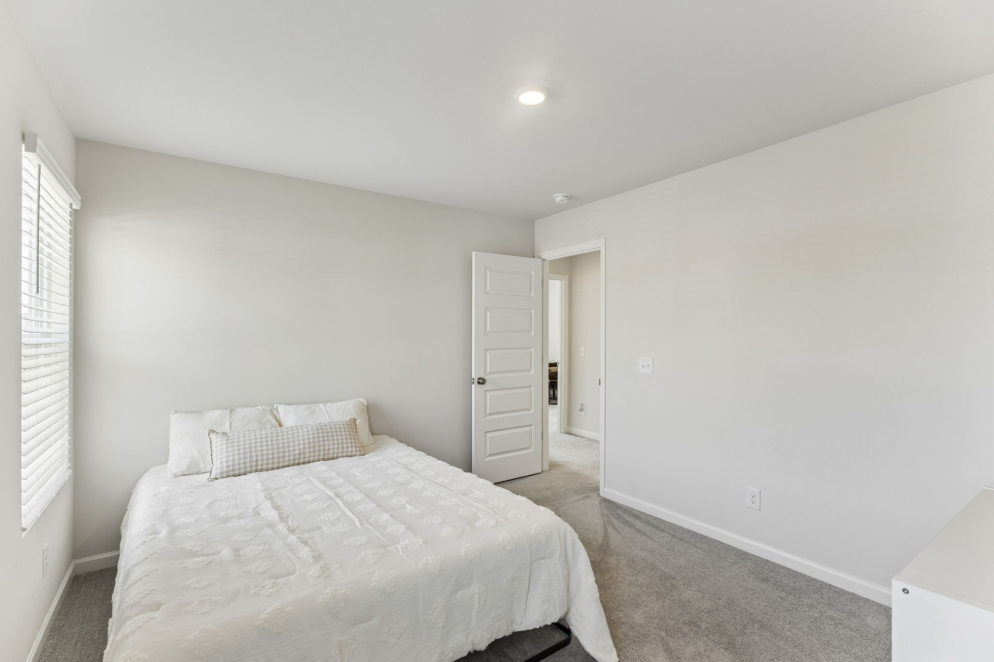 3341 Steadman St Property Photo 34