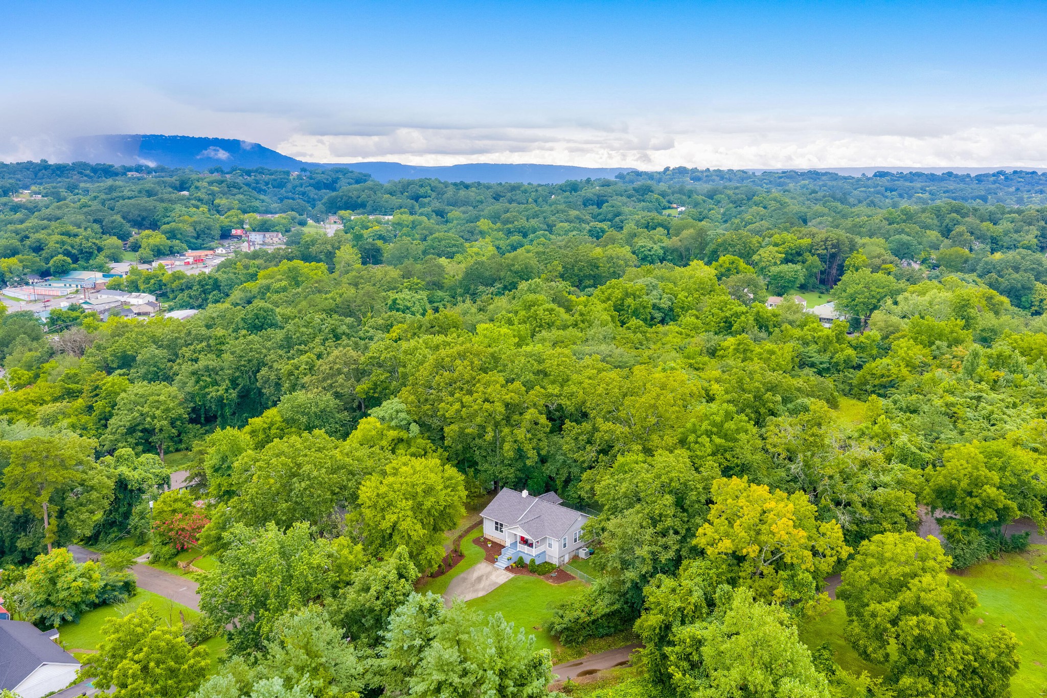 223 Ivy Street Property Photo 8