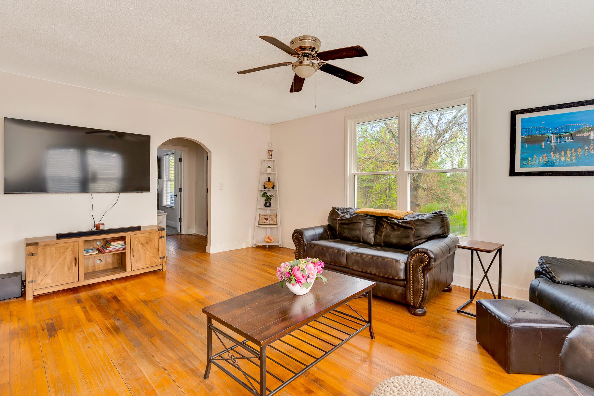 223 Ivy Street Property Photo 11