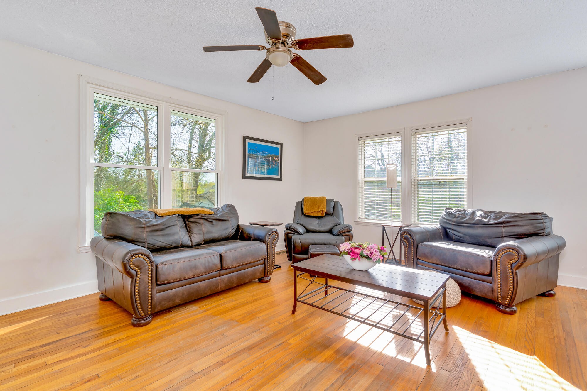 223 Ivy Street Property Photo 12