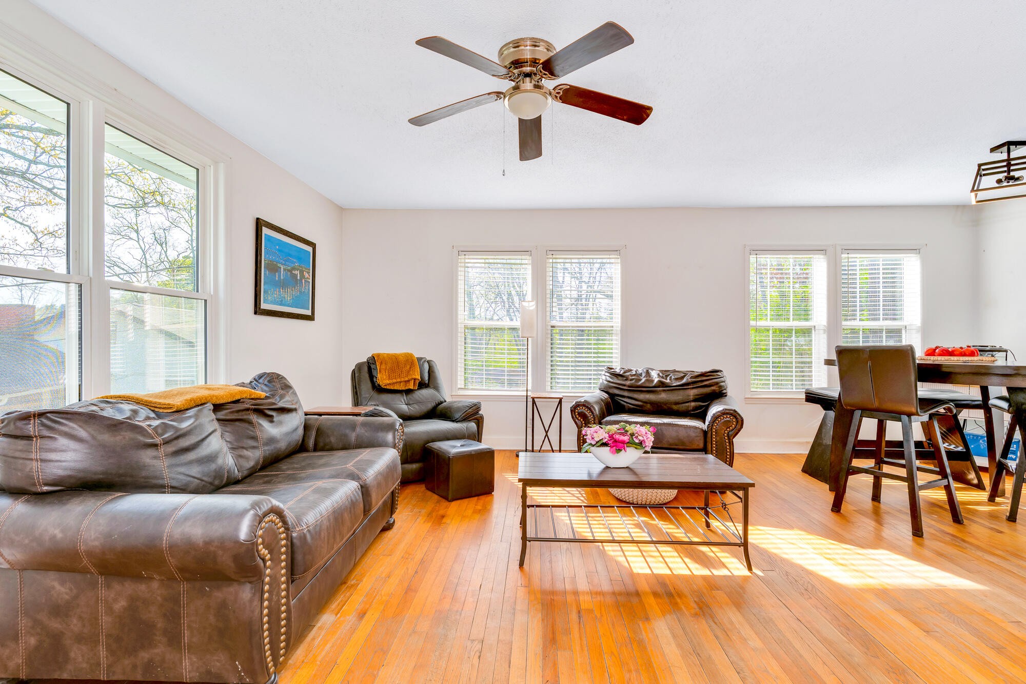 223 Ivy Street Property Photo 13