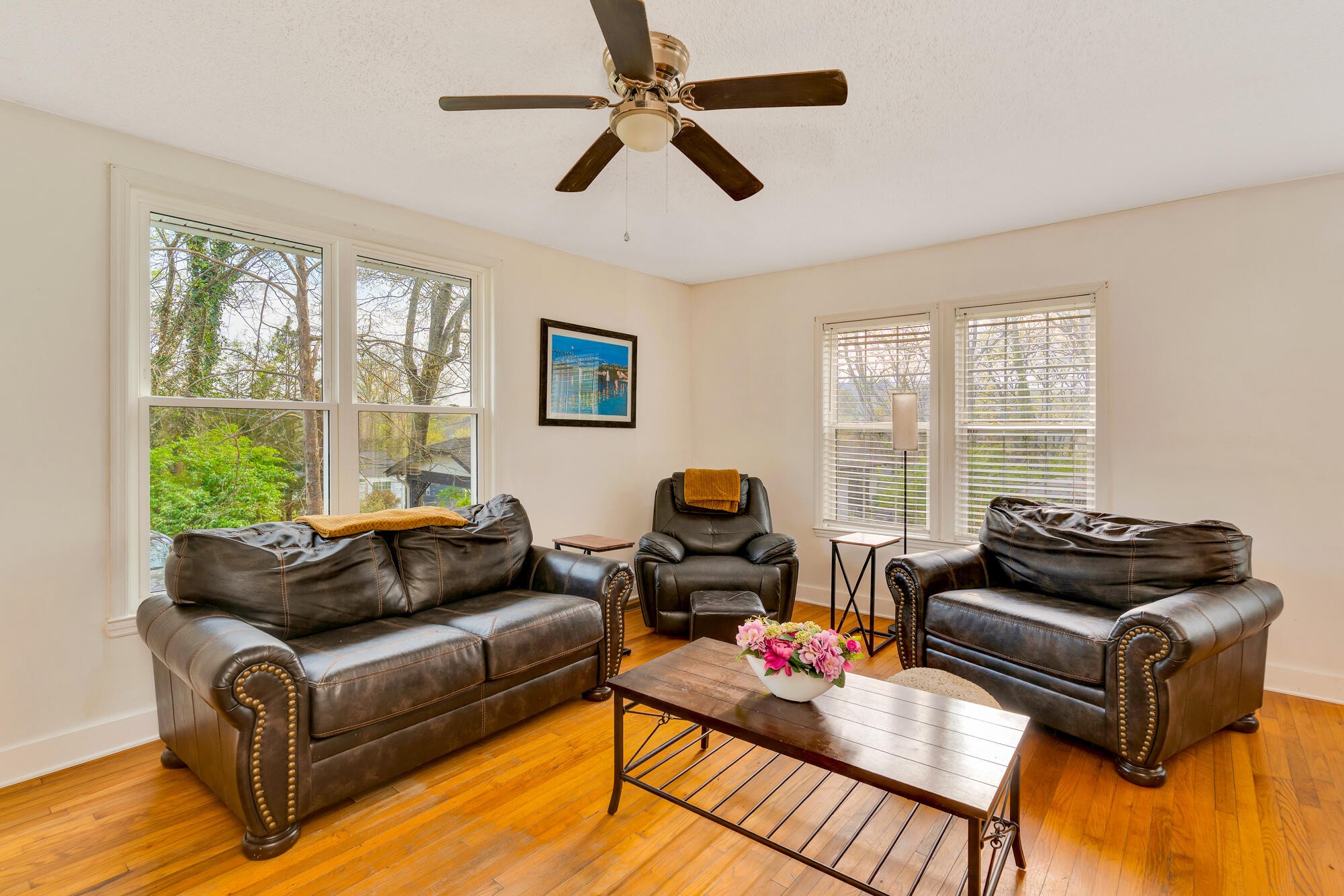 223 Ivy Street Property Photo 14