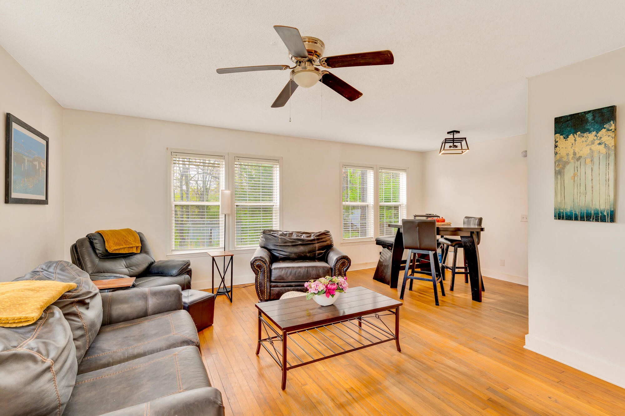 223 Ivy Street Property Photo 16