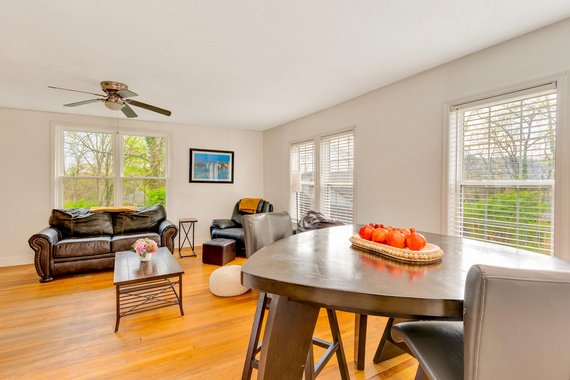 223 Ivy Street Property Photo 18