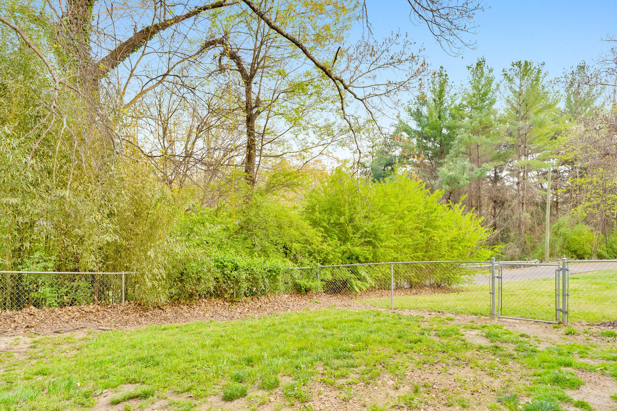 223 Ivy Street Property Photo 32
