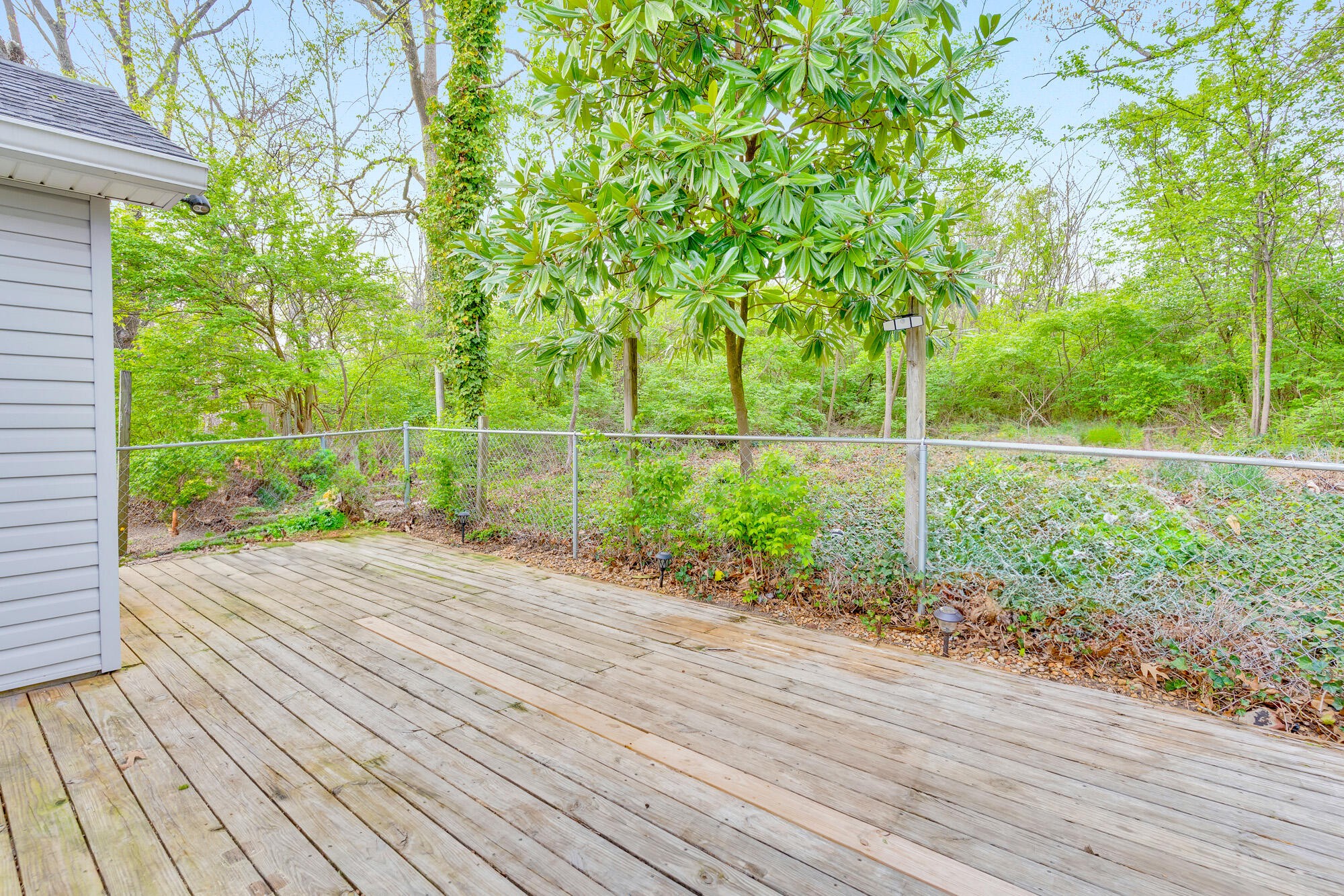 223 Ivy Street Property Photo 35
