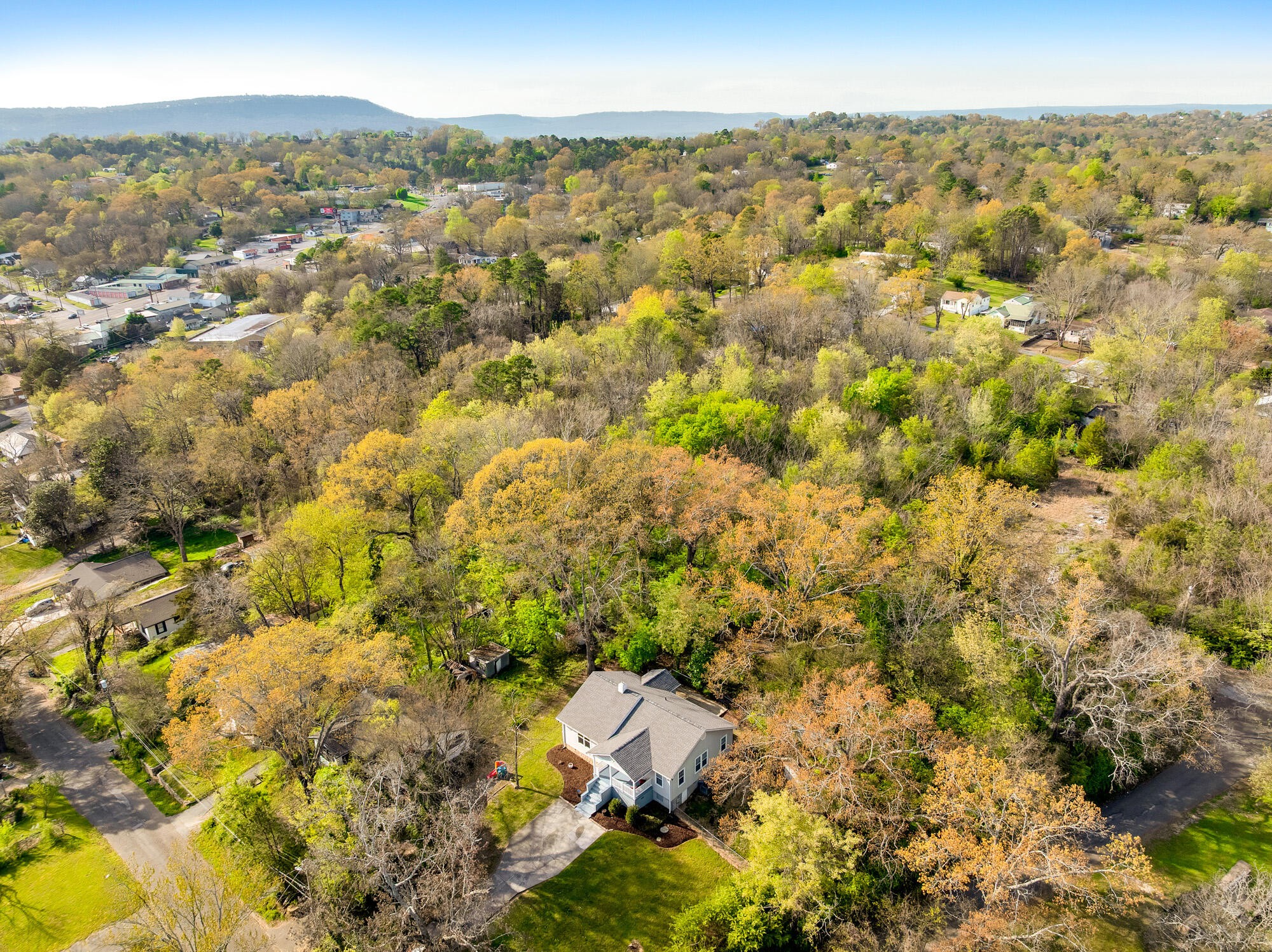 223 Ivy Street Property Photo 41