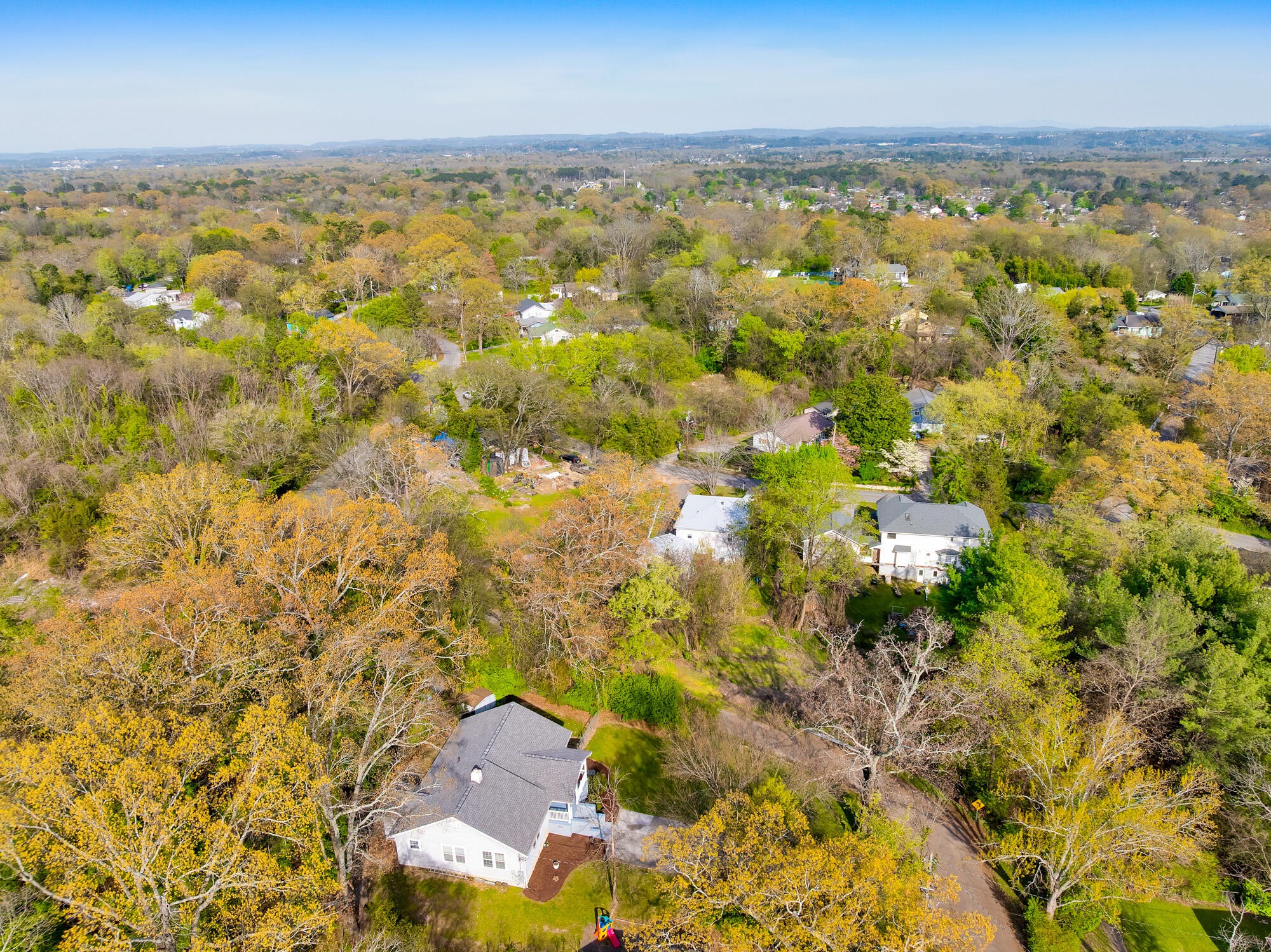 223 Ivy Street Property Photo 44