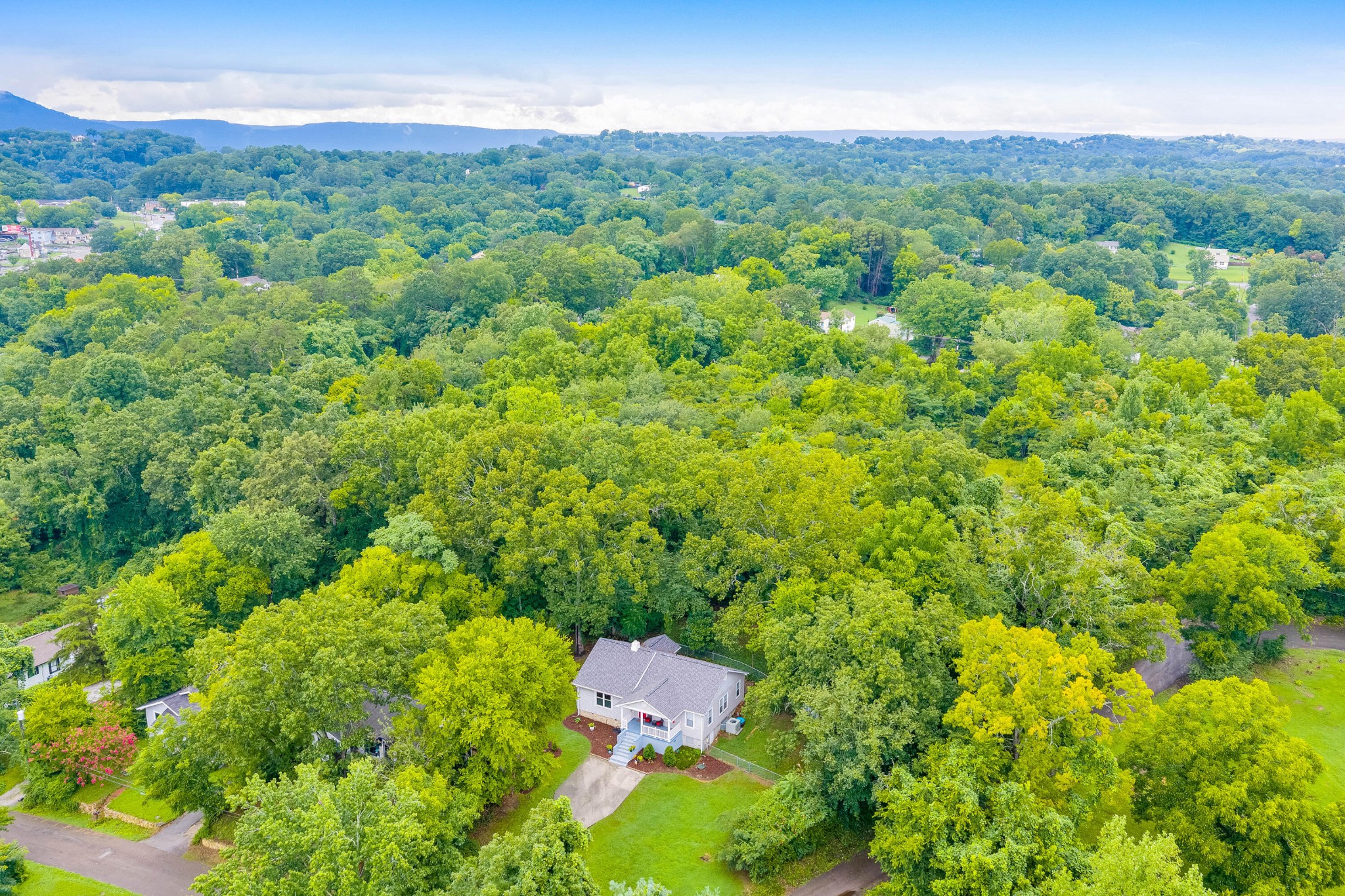 223 Ivy Street Property Photo 45