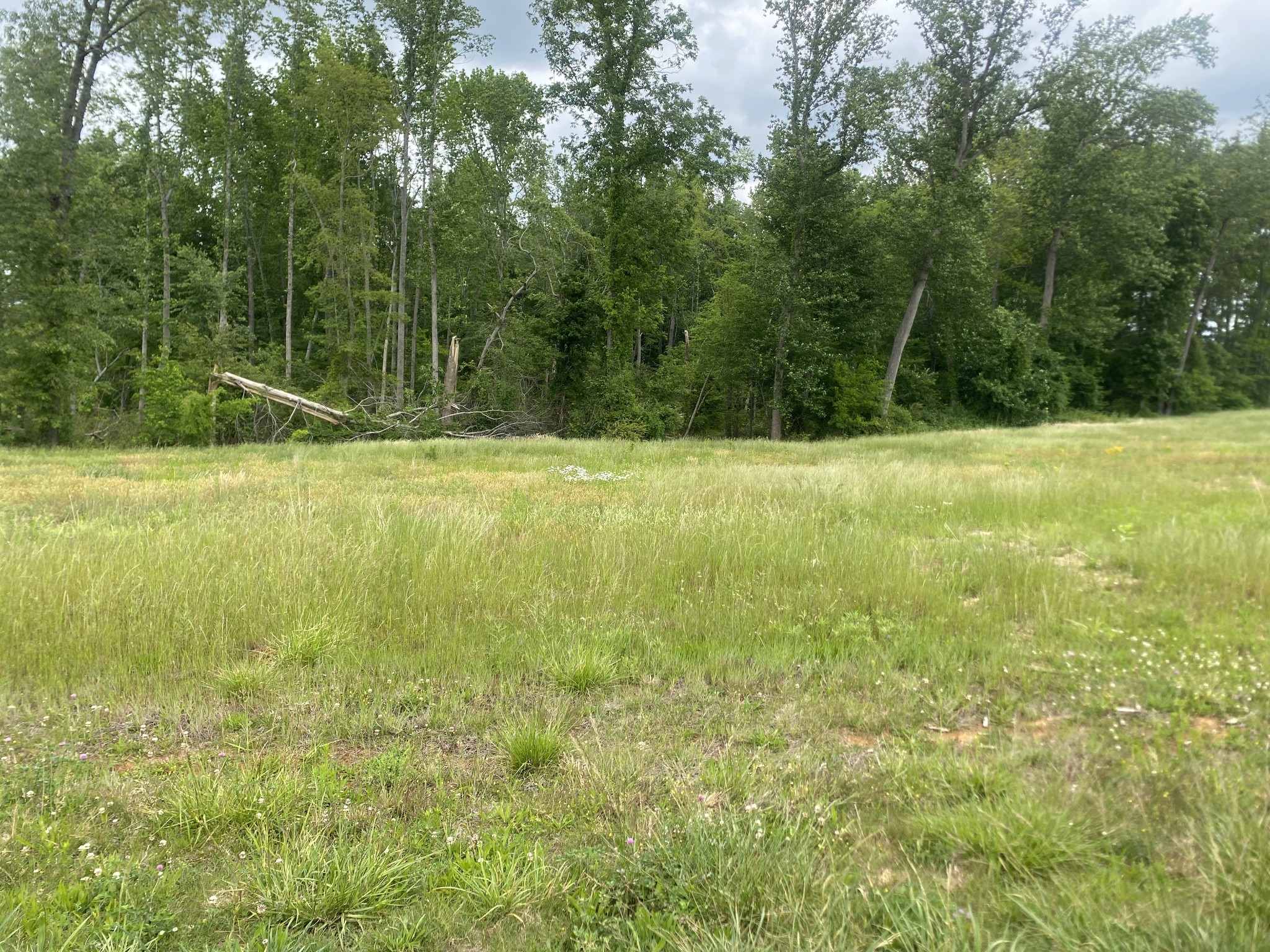 0 Wheeler Road Property Photo 1