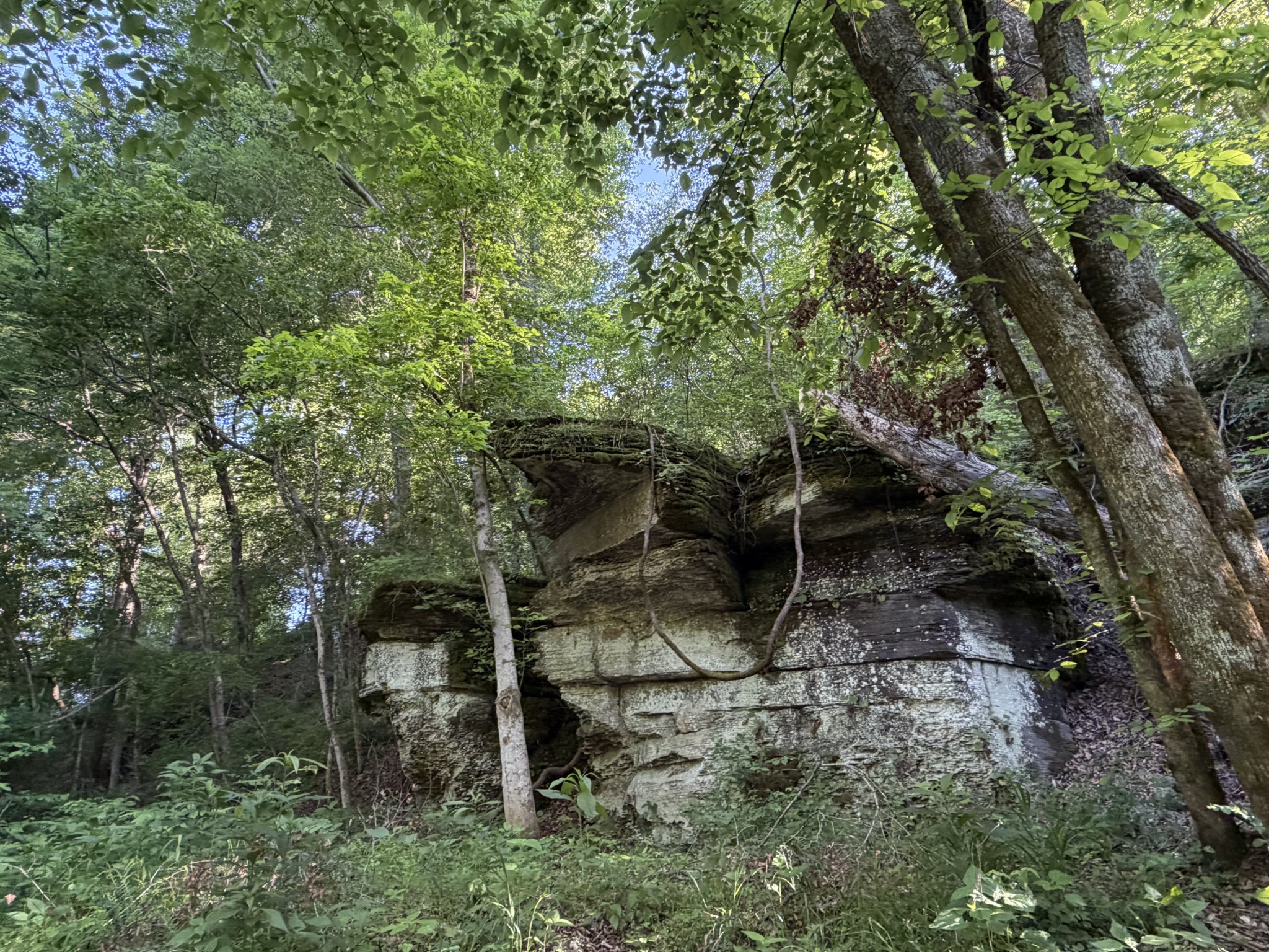 1490 Upper Standing Rock Rd Property Photo 22