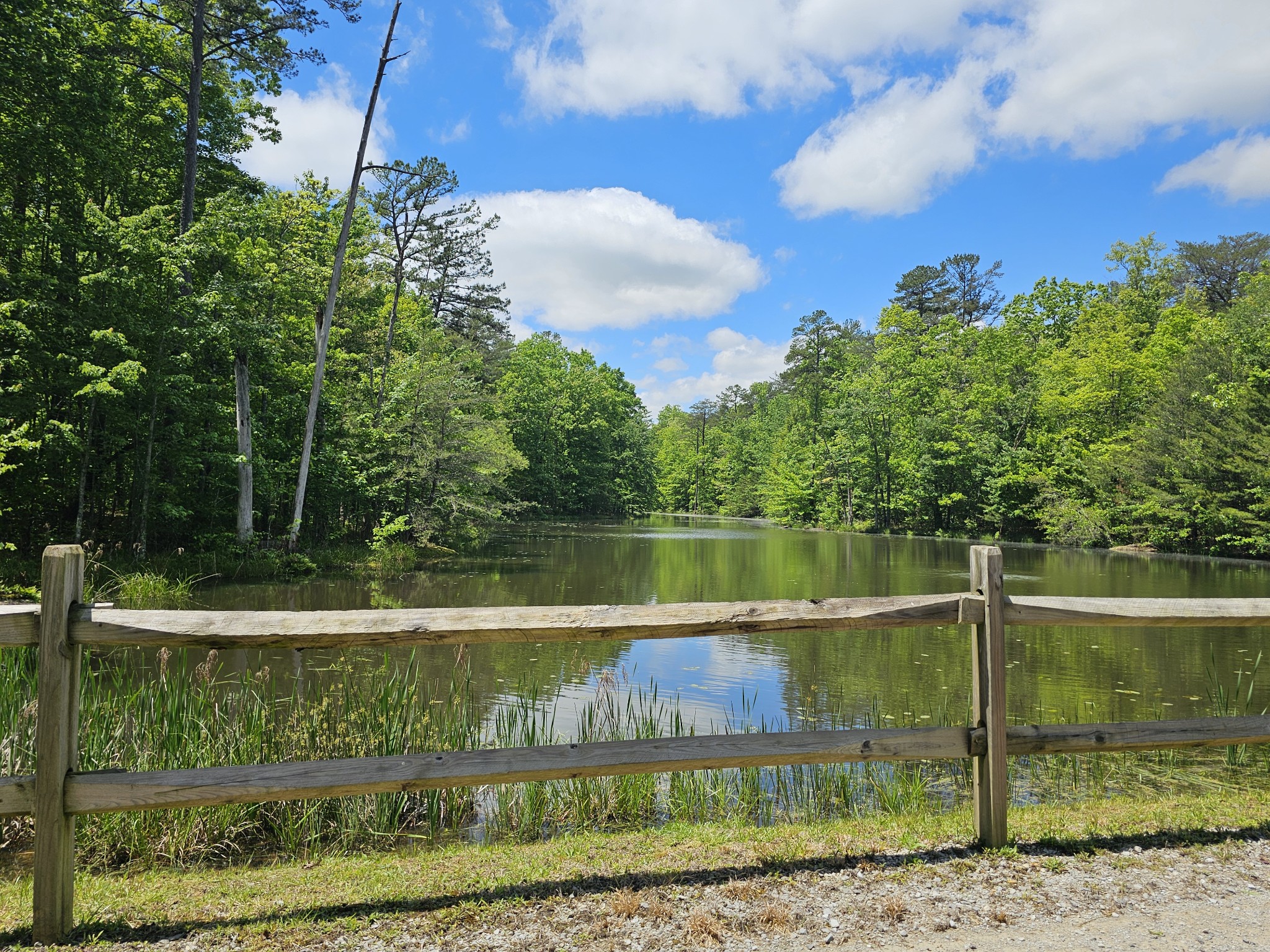6 Beechwood Trail Property Photo 1