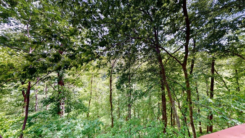 8045 Sarah Thomas Rd Property Photo 35