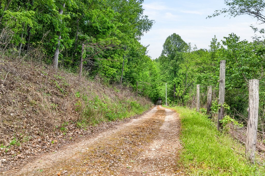 8045 Sarah Thomas Rd Property Photo 38