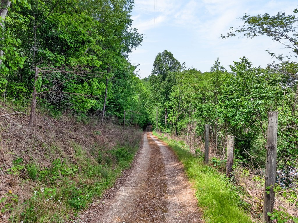 8045 Sarah Thomas Rd Property Photo 39