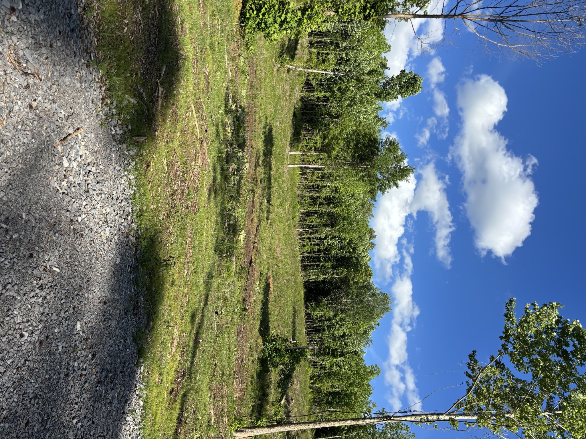 0 Highway 283 Property Photo 2