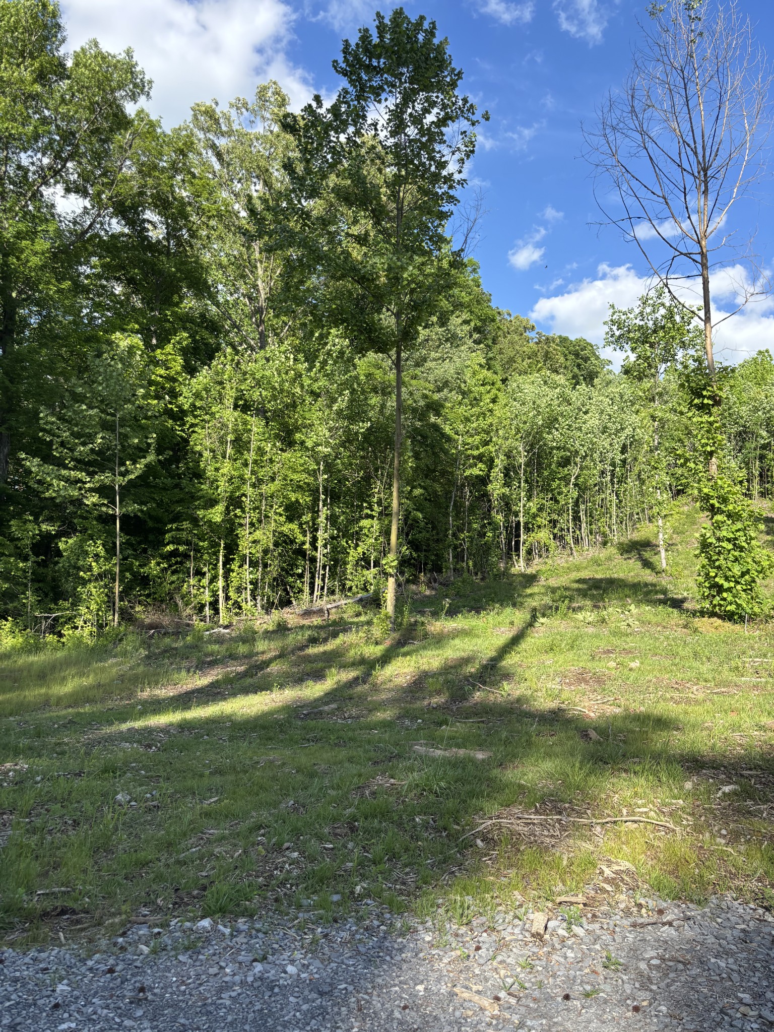 0 Highway 283 Property Photo 4