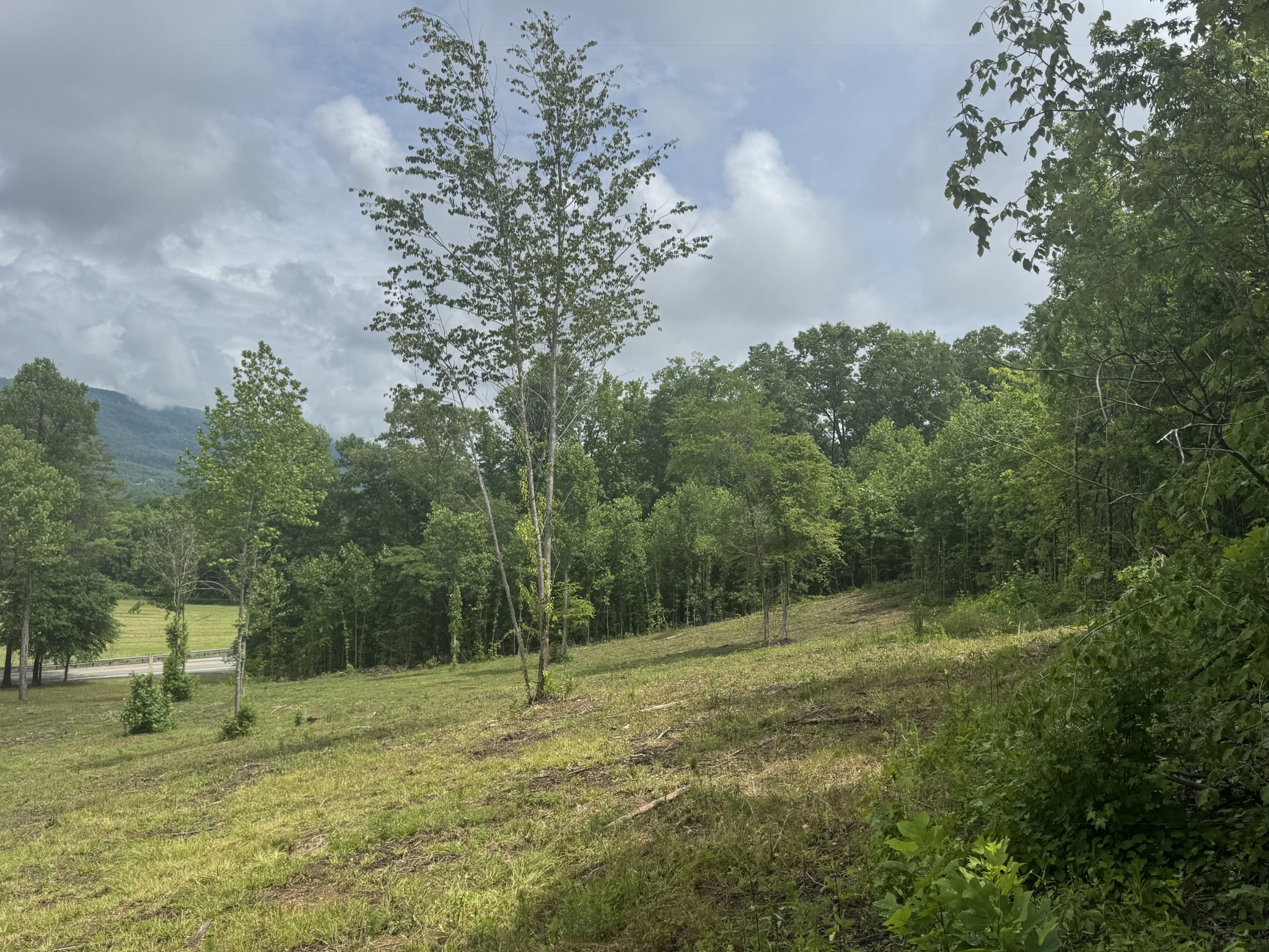 0 Highway 283 Property Photo 6